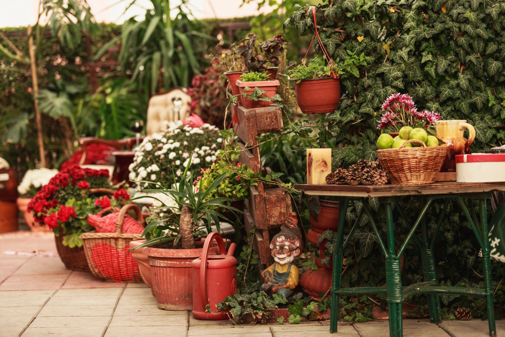 Garden foliage and plants