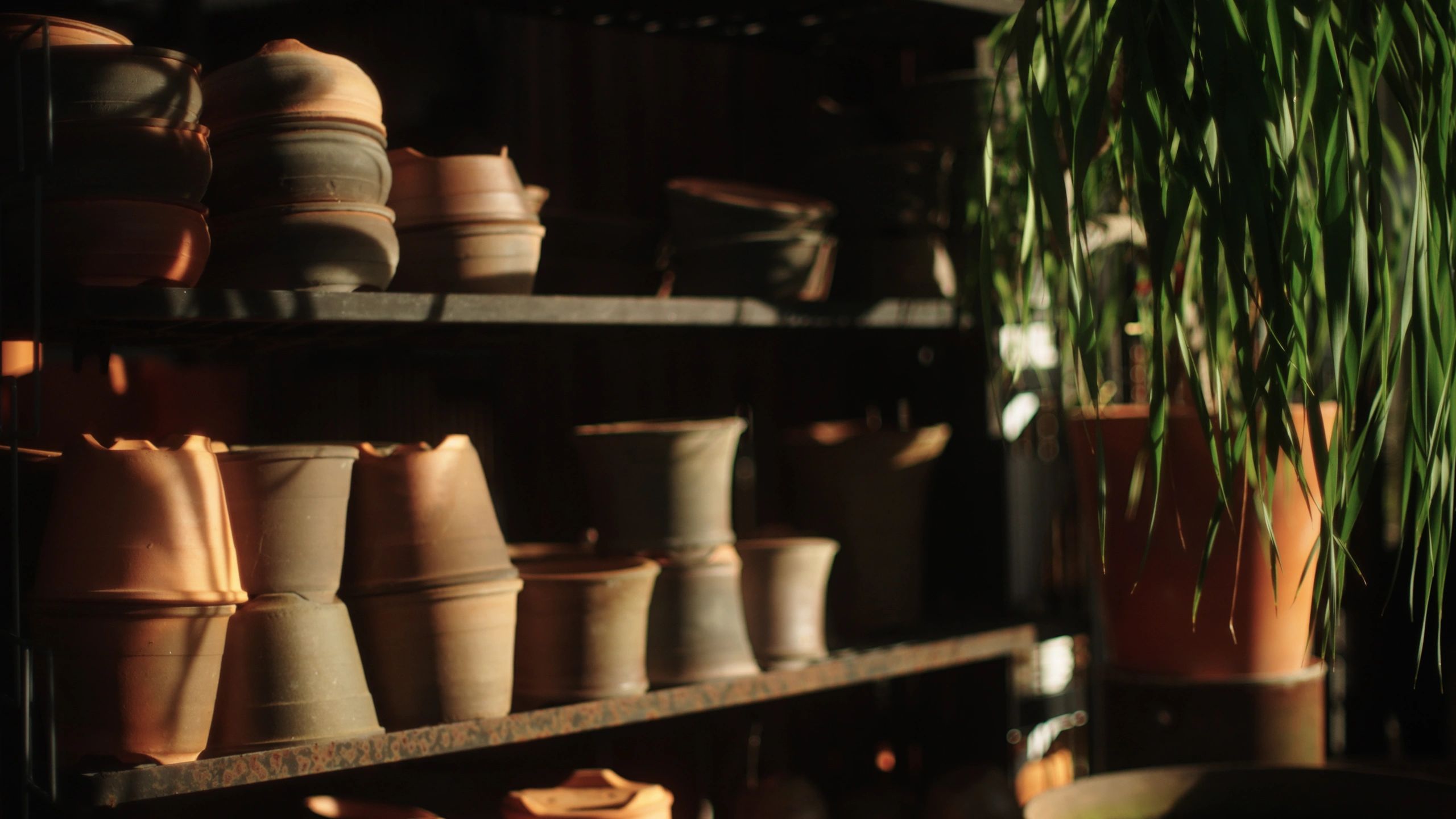 Close-up of plant pots and containers