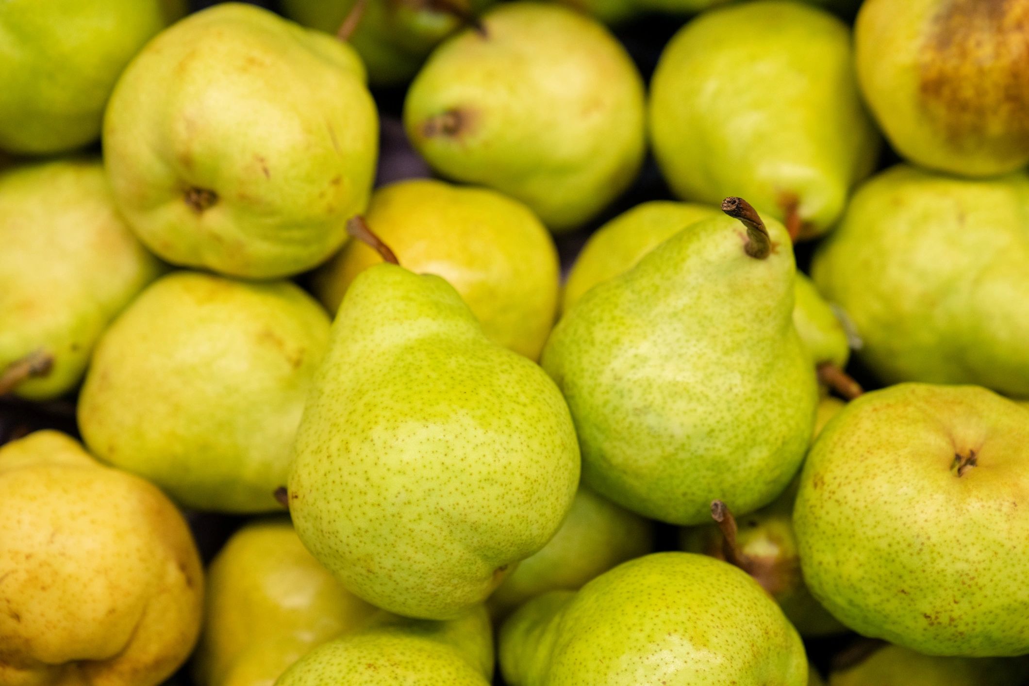 Fresh produce displayed on a supermarket shelf