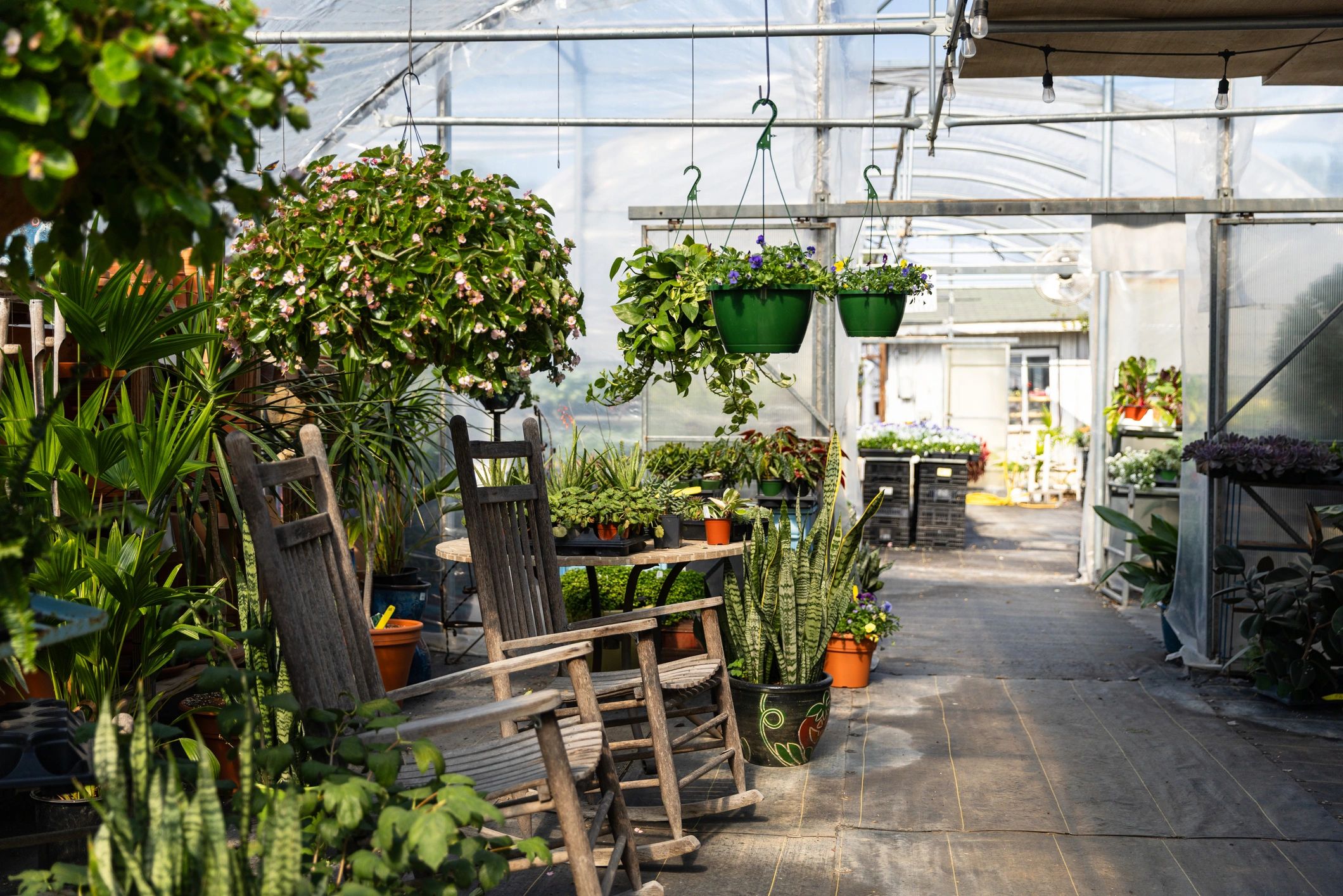 Retail area within a flower farm or garden retail setting
